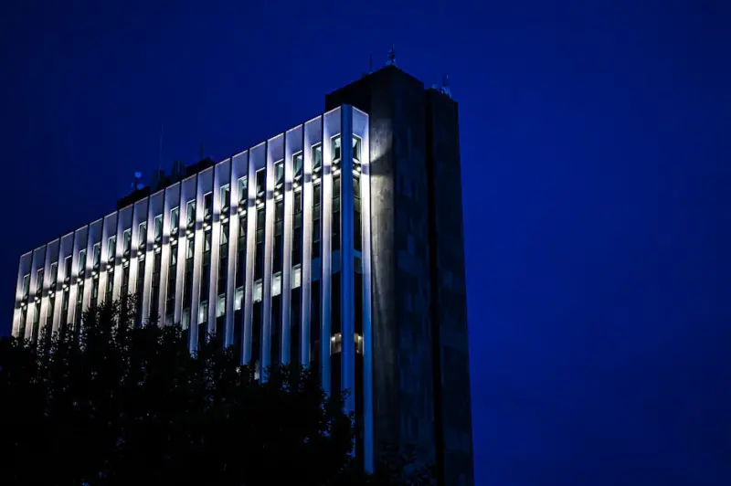 Ações brasileiras: Goldman Sachs aponta 14 papéis para a retomada do fluxo