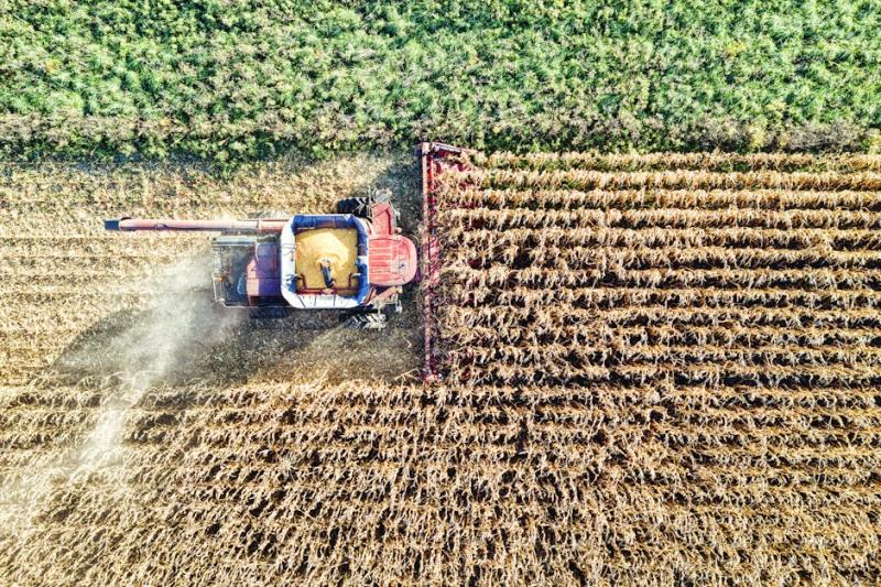 Risco de Commodities assume liderança; interrupção de negócios cai