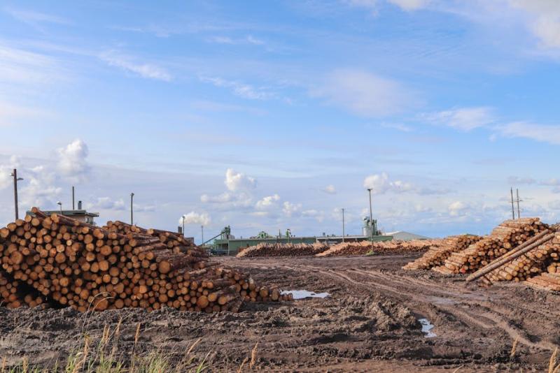 Ibovespa em abril: assimetria setorial entre perdas de 19% e altas de 22%