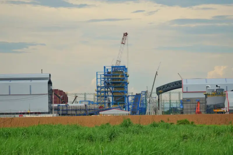 Irani (RANI3) aprova conceito da Plataforma Neos e mira dobrar market share até 2034