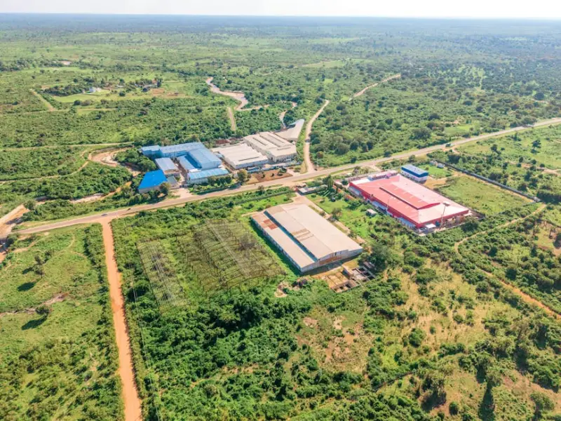 Suzano obtém aval de reguladores para comprar 51% da operação da Kimberly-Clark