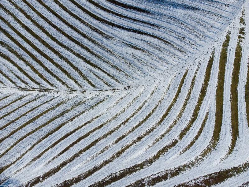 SLC Agrícola atualiza portfólio de terras em R$ 13,5 bi e NAV sobe 0,6%