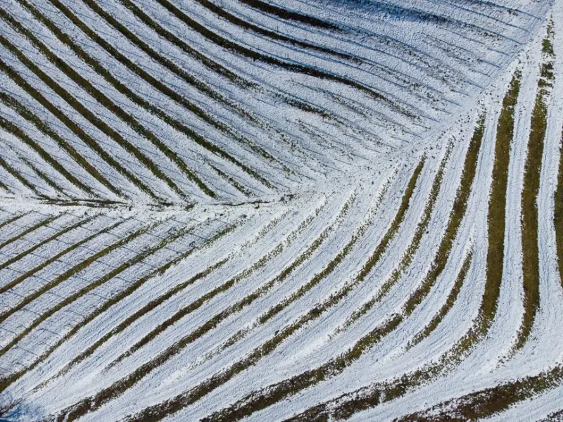 SLC Agrícola atualiza portfólio de terras em R$ 13,5 bi e NAV sobe 0,6%
