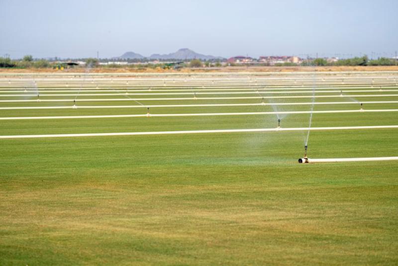 SLC Agrícola atualiza hedge e projeta expansão de 206% em área irrigada