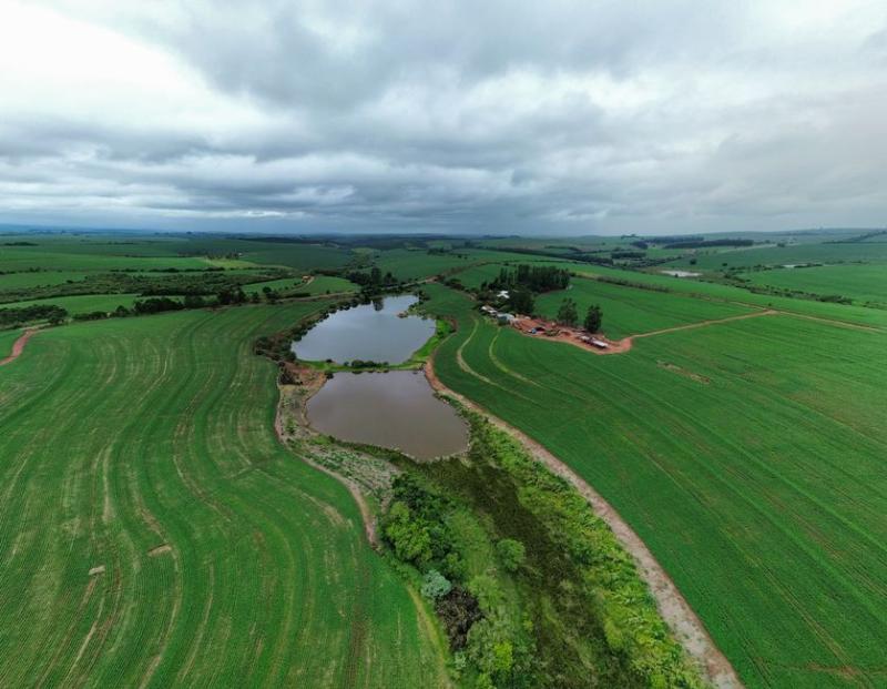 Cosan anuncia venda de terras agrícolas no MT por R$ 1,85 bi; CSAN3 foca em caixa