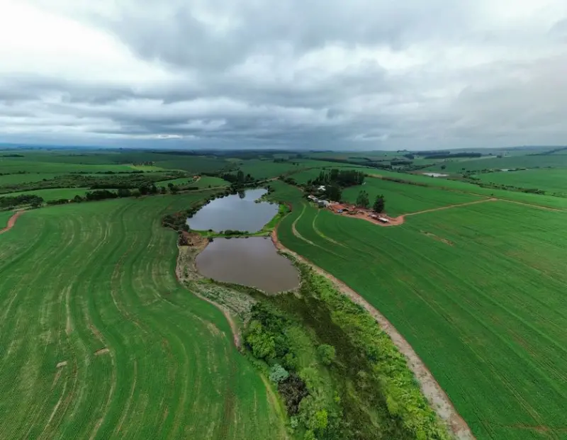 Cosan anuncia venda de terras agrícolas no MT por R$ 1,85 bi; CSAN3 foca em caixa