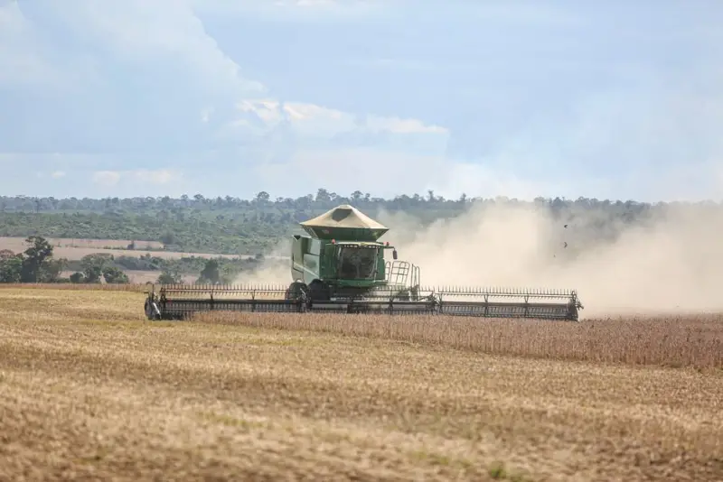 SLC Agrícola exerce preferência e compra terras no MT por R$ 1,85 bi