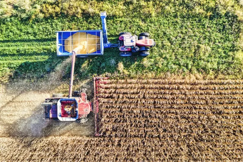 SLC Agrícola (SLCE3) exerce preferência e compra terras no MT por R$ 1,85 bi