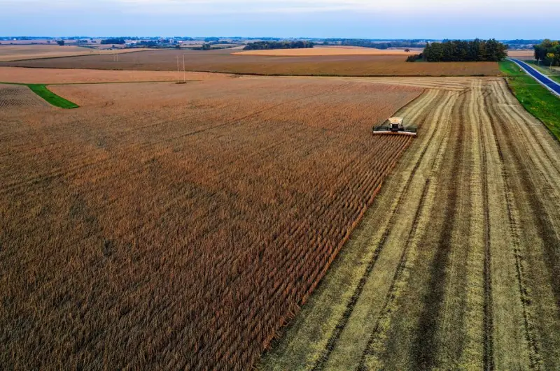 SLC Agrícola (SLCE3) exercita preferência e compra terras no MT por R$ 1,85 bi