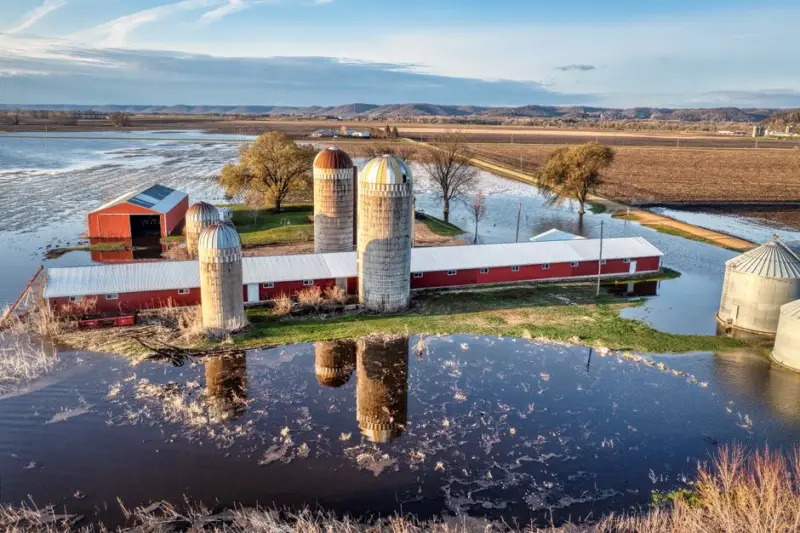 SLC Agrícola (SLCE3) firma acordo de R$ 669 mi por terras no MT
