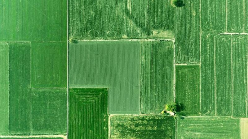 SLC Agrícola (SLCE3) adquire 8,9 mil hectares no MT por R$ 669 mi