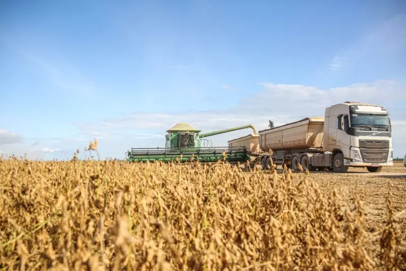 Cosan formaliza venda de terras no MT por R$ 1,85 bi até outubro