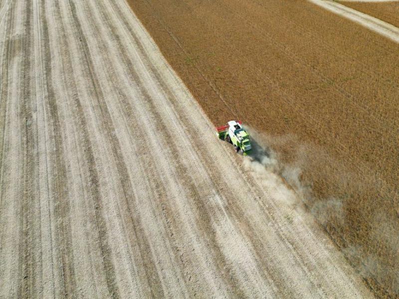 SLC Agrícola (SLCE3) firma acordo de R$ 669 mi por 8,9 mil ha no MT