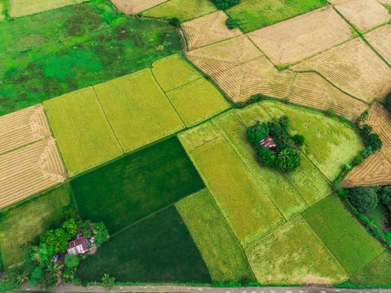 Banco do Nordeste revoga licitação do Agroamigo e reabre edital após falha no SICAF