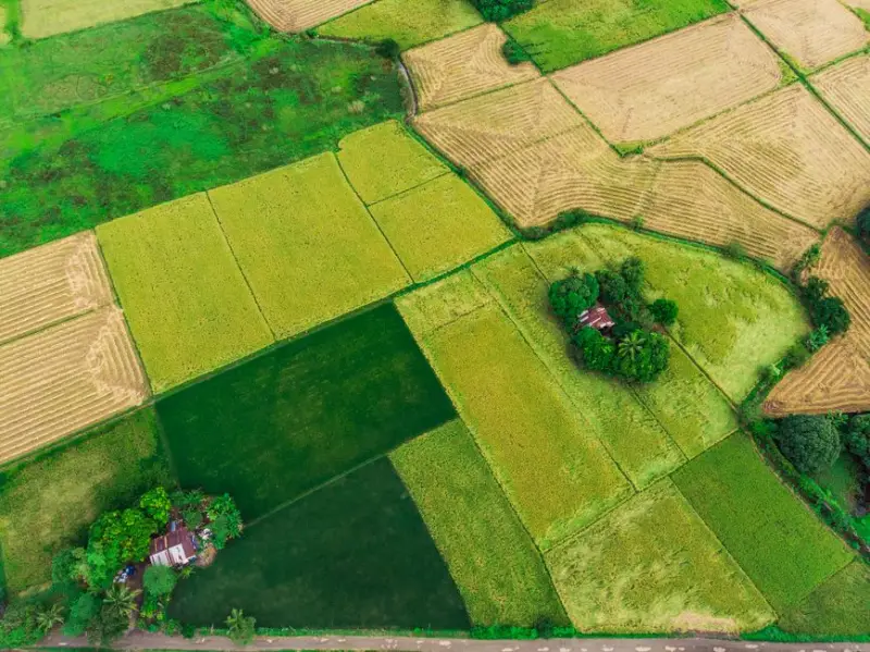 Banco do Nordeste revoga licitação do Agroamigo e reabre edital após falha no SICAF