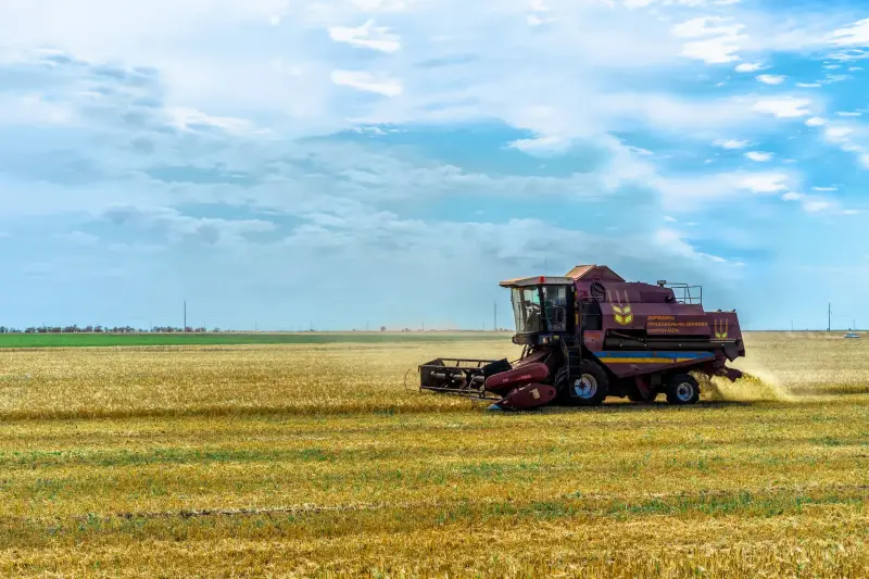 BrasilAgro (AGRO3) na Bahia: Venda de terras sinaliza captura de valor real