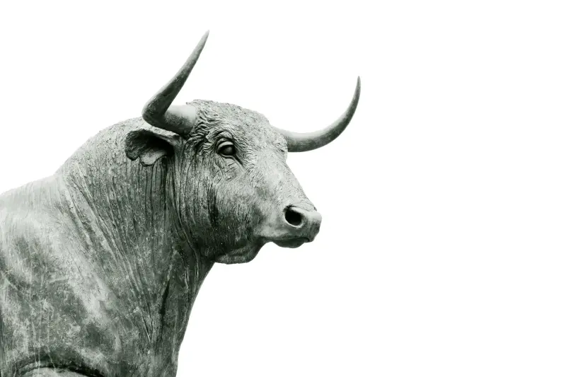 Ibovespa acima dos 200 mil: o rali que não passou por todo o índice