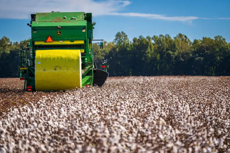 Zempack corta 6% de aço nas latas e mira farmacêutica: o que muda na JBS