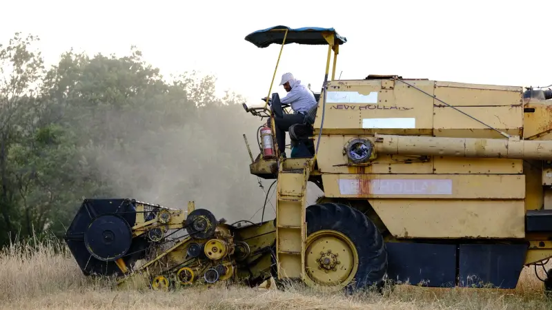 SLC Agrícola conclui compra de 11,1 mil hectares: o que muda no caixa